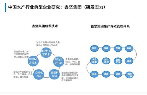 打通水產預制菜全鏈條,鑫堅全方位布局見成效