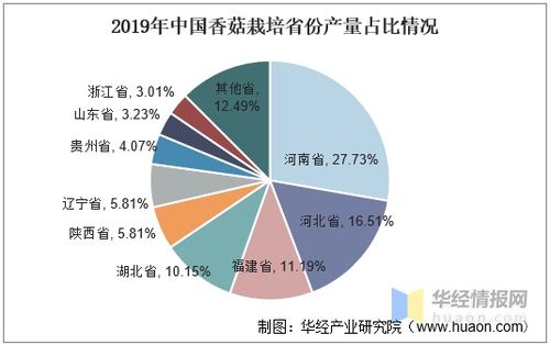 中國香菇產業發展現狀及趨勢分析,產業聚集度較高 圖