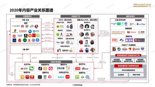 克勞銳2020年中國MCN行業發展研究白皮書：B2B軟件開發的機遇與挑戰